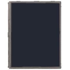 iPad 2 LCD Screen Display / Default