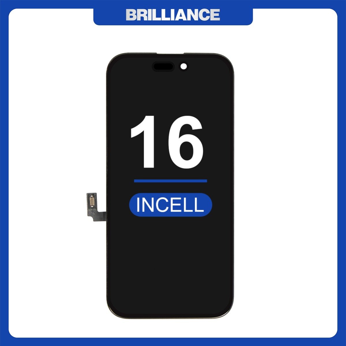 Bild 12 von 101