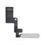 iPad Air 11" (2025) (WiFi Only) Power Button Flex (Starlight)