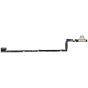 iPhone Air Charging Port Flex Light Gold