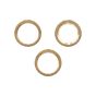 iPhone 12 Pro (Aftermarket Plus) (Gold) - Back Camera Lens With Bracket & Bezel