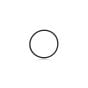 iPhone 13 Pro / 13 Pro Max Back Camera Lens O-Ring Gasket Ã¯Â¼Ë†100 PackÃ¯Â¼â€°