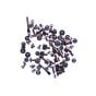 iPhone 13 Pro Complete Screw Set