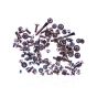 iPhone 13 Pro Max Complete Screw Set