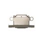 iPhone 15 Pro / 15 Pro Max Charging Port (Natural Titanium) - 10 Pack