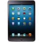 iPad Mini 1