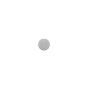 iPad 4 Home Button White