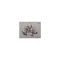 iPad 6 / iPad Air 2 WiFi IC #339S0251 (U7500)