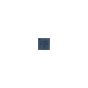 iPad 6 / 7 / 8 / Pro 9.7 / Pro 10.5 / Pro 12.9 (2nd Gen) / Mini 5 / Air 3 Audio Manager IC #CS42L83A