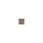 iPad Air / iPad Air 2 / Mini 1 Audio Manager IC #338S1116 (U1900)
