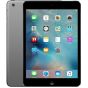 iPad Mini 2