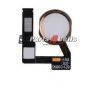 iPad Air 3rd Gen Home Button Flex Gold