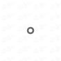 iPad Pro 9.7" Back Camera Lens White