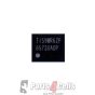 iPhone 6S LCD Display Driver Chestnut Controller IC #65730A0P (U4000)