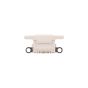 iPhone 13 / 13 Mini Charging Port Starlight