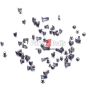 iPhone 6S Plus Screw Set