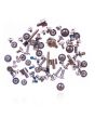 iPhone 13 Complete Screw Set
