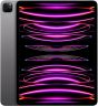 IPAD 12.9-INCH (6TH GEN) GRAY MINT LTE KITTED 256GB