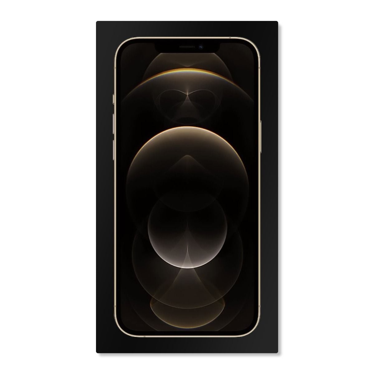 BOX FOR IPHONE 12 PRO MAX GOLD