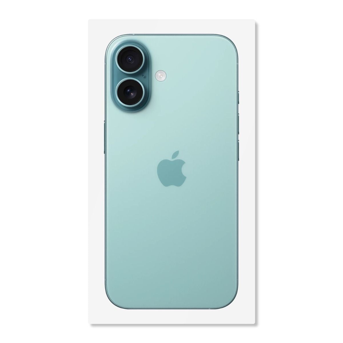 BOX FOR IPHONE 16 PLUS TEAL
