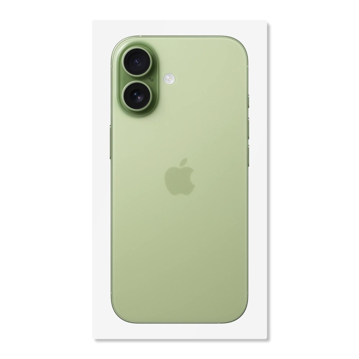 BOX FOR IPHONE 17 SAGE