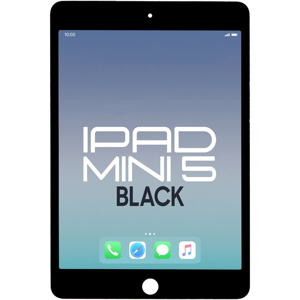 Brilliance Pro iPad Mini 5 LCD with Touch Black