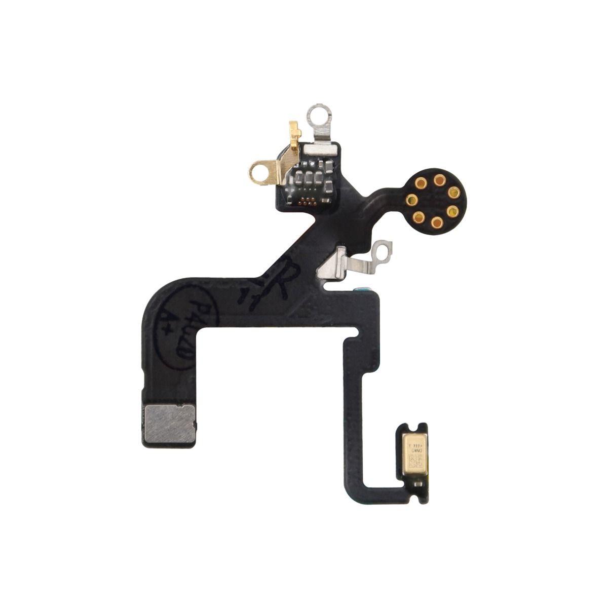 iPhone 12  Pro Flashlight Flex