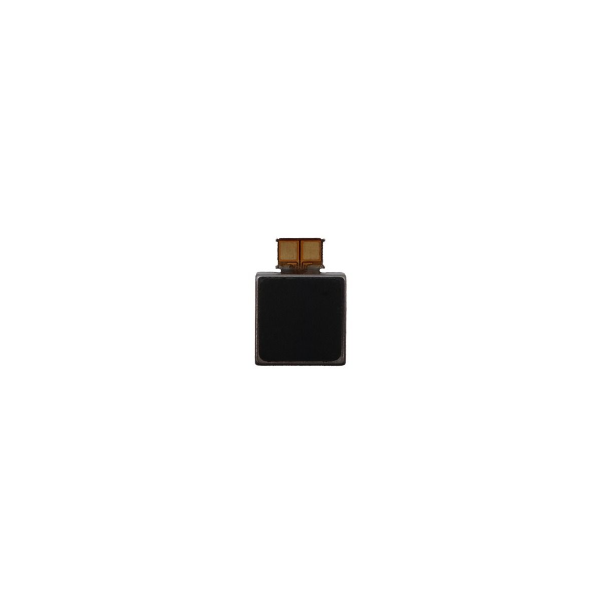 Samsung Note 10 Plus Vibrator flex